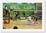 av062 PALLAVOLO AVELLINO-SIR SAFETY BASTIA 3-1 * 750 x 500 * (133KB)